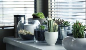 Woning interieur tips